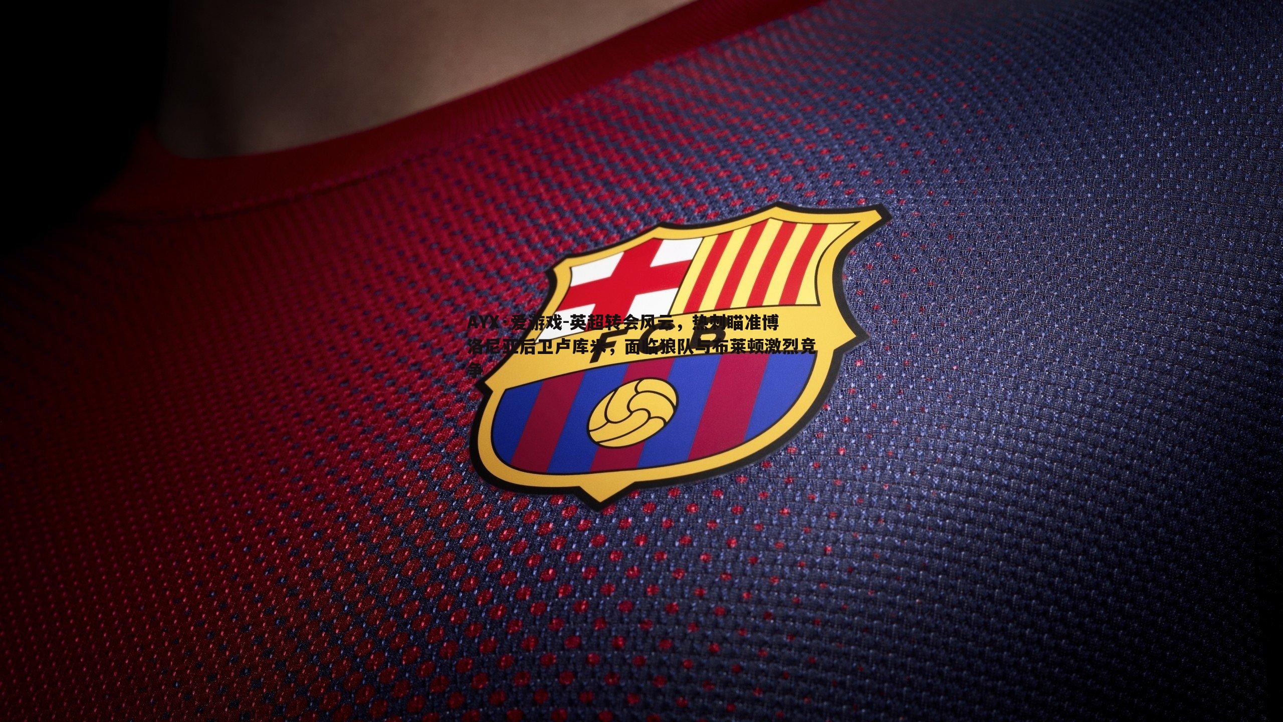 AYX·爱游戏-英超转会风云，热刺瞄准博洛尼亚后卫卢库米，面临狼队与布莱顿激烈竞争